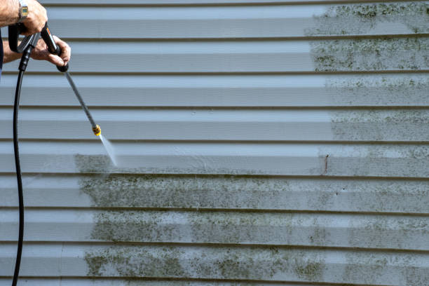 Best Historical Building Siding Restoration  in Soldotna, AK