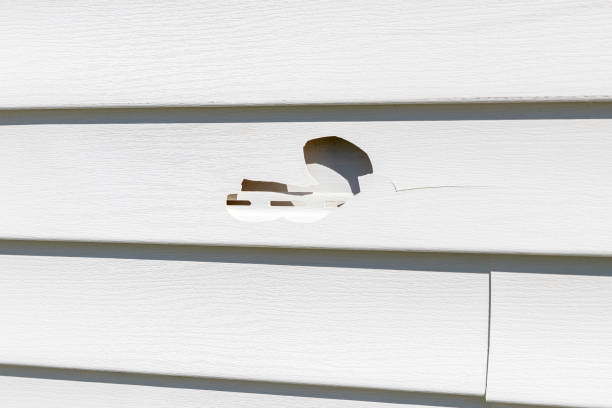 Best Insulated Siding Installation  in Soldotna, AK