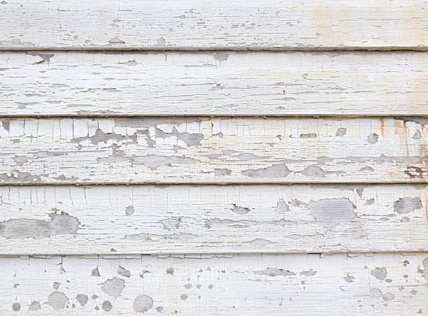 Historical Building Siding Restoration in Soldotna, AK